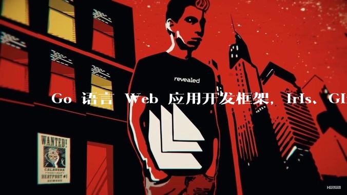 Go 语言 Web 应用开发框架，Iris、Gin、Echo，哪一个更适合大型项目？